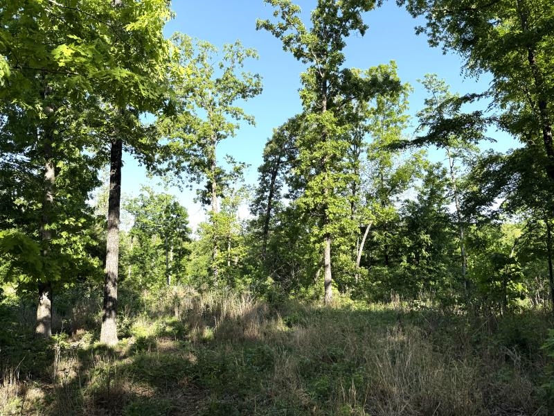 Photo 10 - Vacant Land for sale – 260  Highway 63   Ravenden, AR