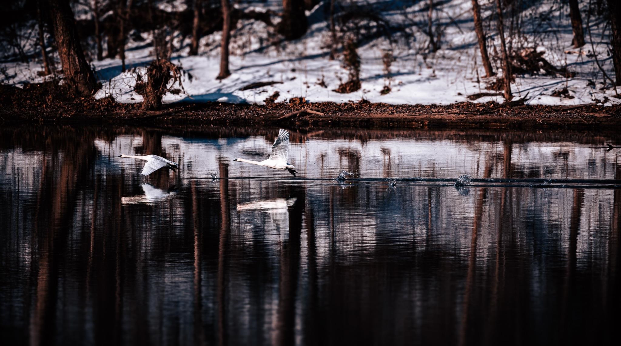 Photo 25 - Residential for sale – 220  Joe Baker Road   Batesville, AR