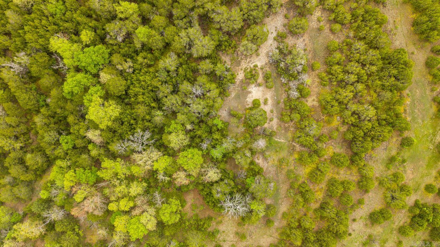 Photo 11 - Vacant Land for sale – 1141  Little Woods Road   Elizabeth, AR