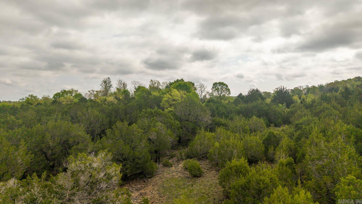 Photo 12 - Vacant Land for sale – 1141  Little Woods Road   Elizabeth, AR