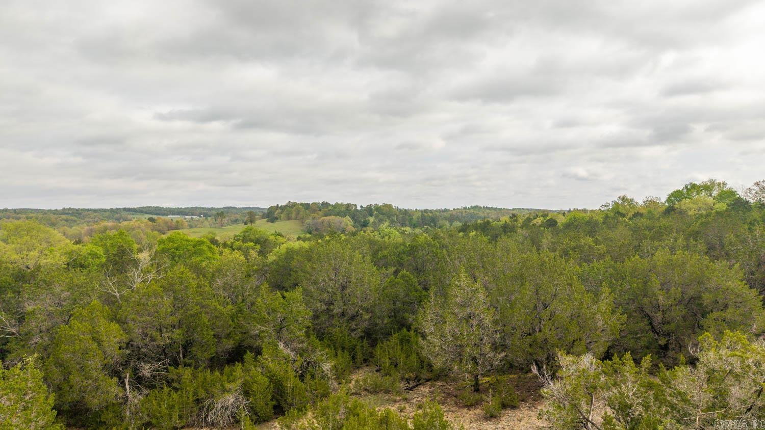 Photo 13 - Vacant Land for sale – 1141  Little Woods Road   Elizabeth, AR