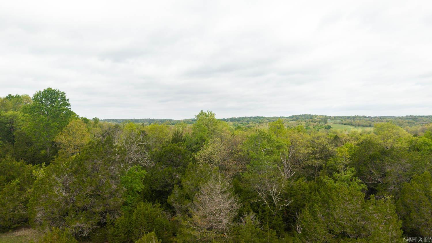 Photo 14 - Vacant Land for sale – 1141  Little Woods Road   Elizabeth, AR