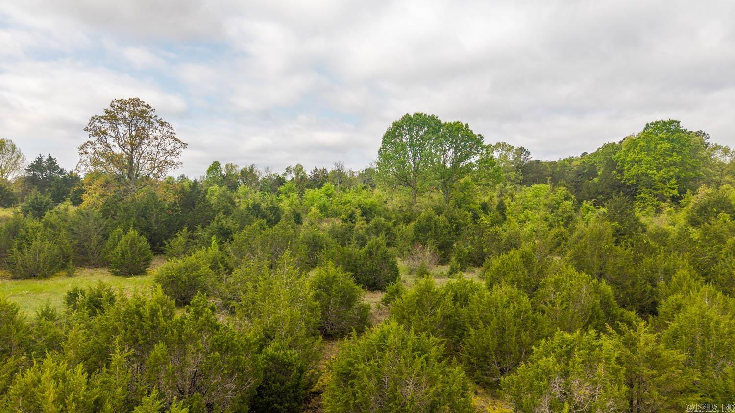 Photo 15 - Vacant Land for sale – 1141  Little Woods Road   Elizabeth, AR