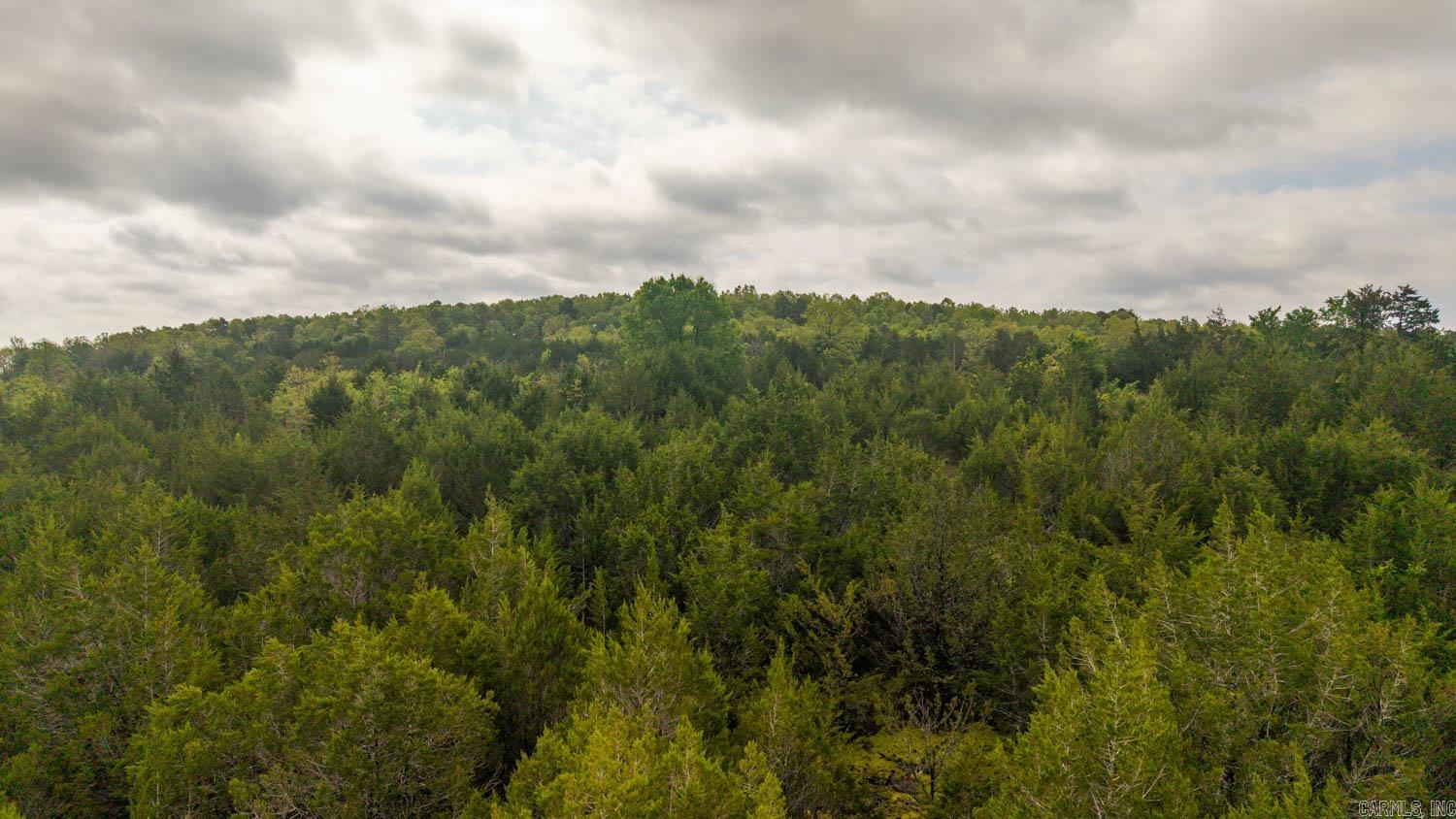 Photo 16 - Vacant Land for sale – 1141  Little Woods Road   Elizabeth, AR