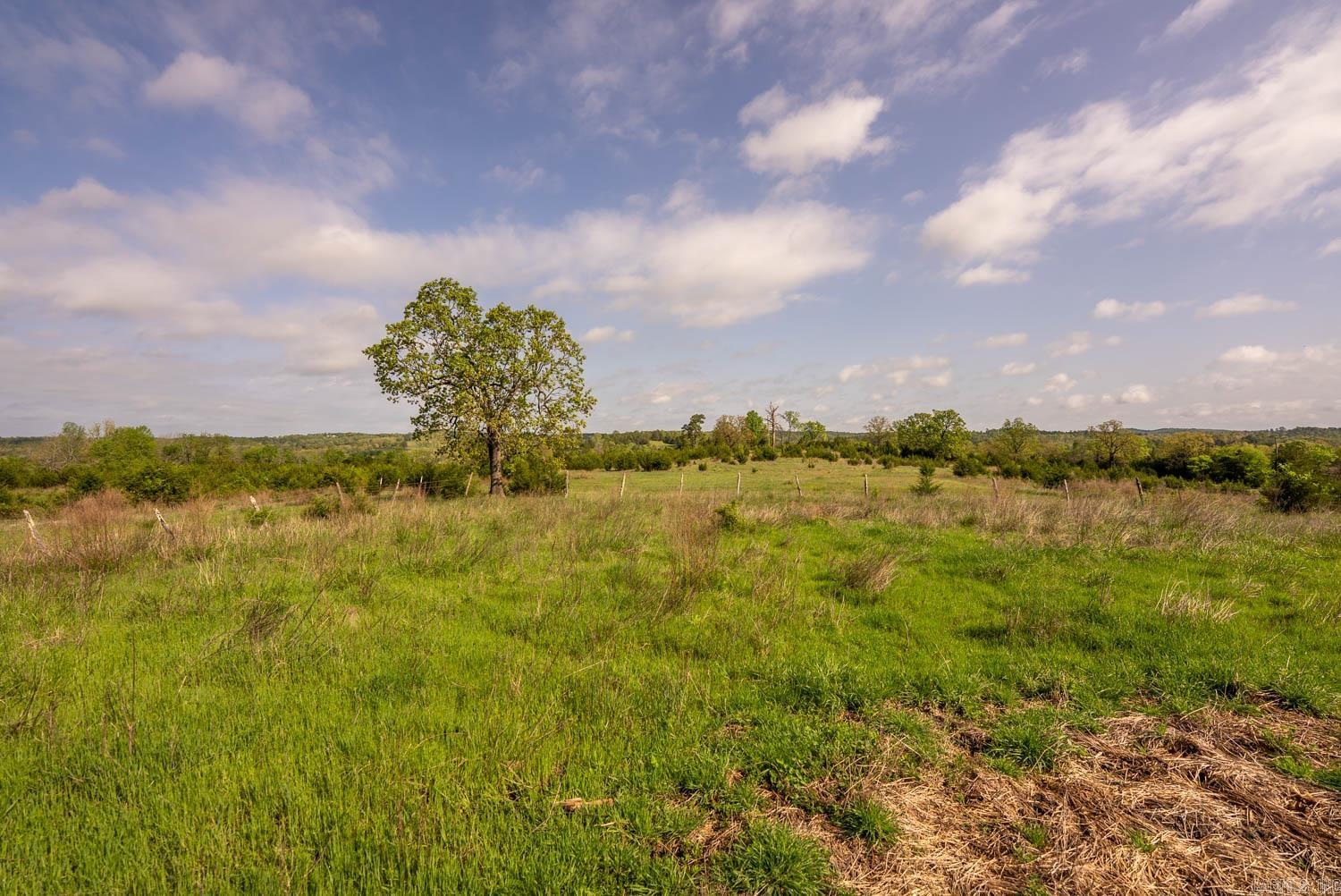 Photo 18 - Vacant Land for sale – 1141  Little Woods Road   Elizabeth, AR