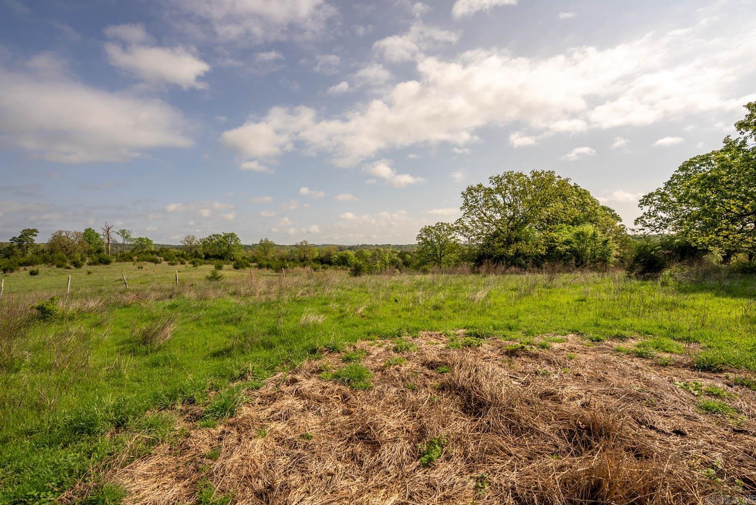 Photo 19 - Vacant Land for sale – 1141  Little Woods Road   Elizabeth, AR