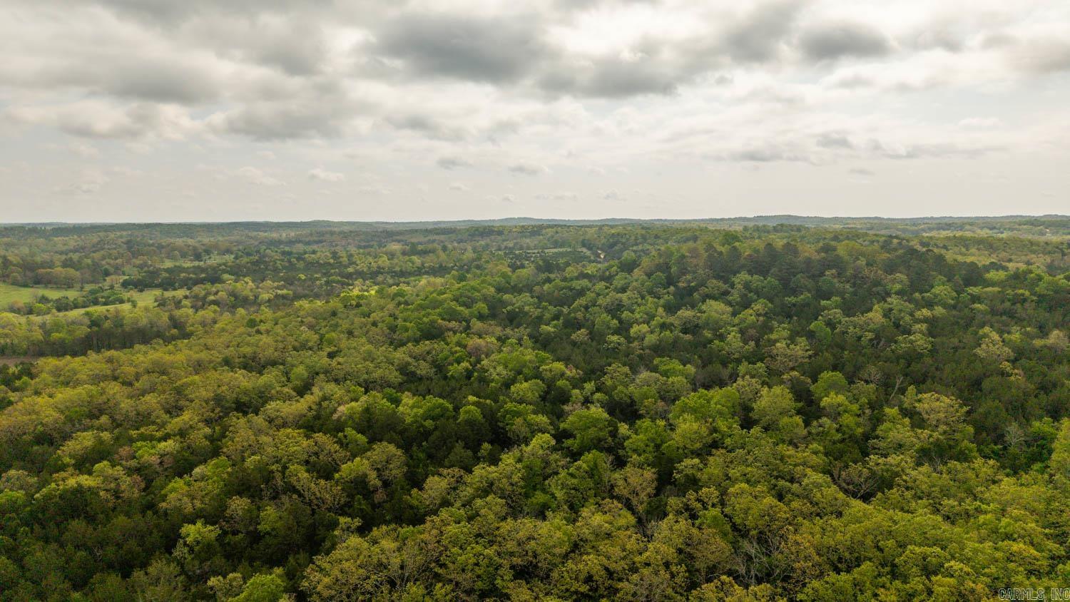 Photo 4 - Vacant Land for sale – 1141  Little Woods Road   Elizabeth, AR