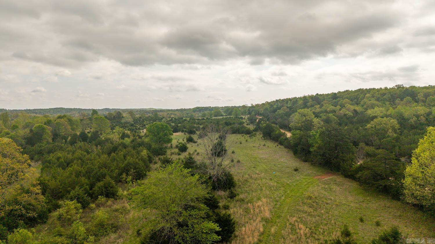 Photo 5 - Vacant Land for sale – 1141  Little Woods Road   Elizabeth, AR