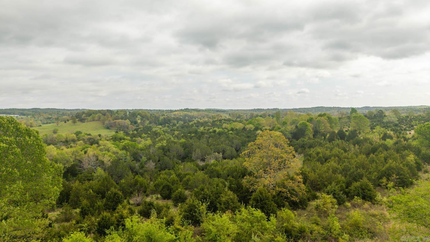 Photo 6 - Vacant Land for sale – 1141  Little Woods Road   Elizabeth, AR