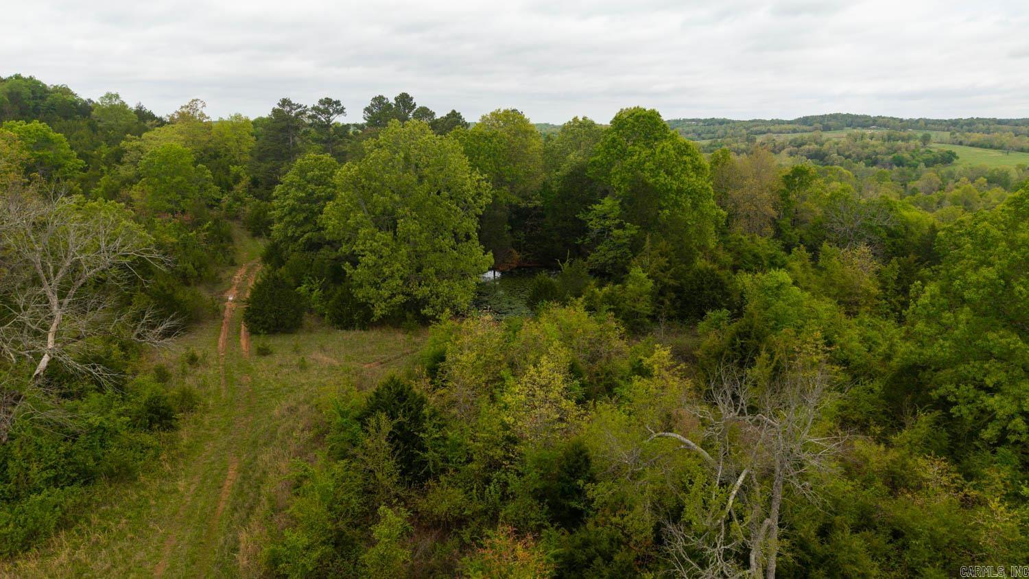 Photo 7 - Vacant Land for sale – 1141  Little Woods Road   Elizabeth, AR