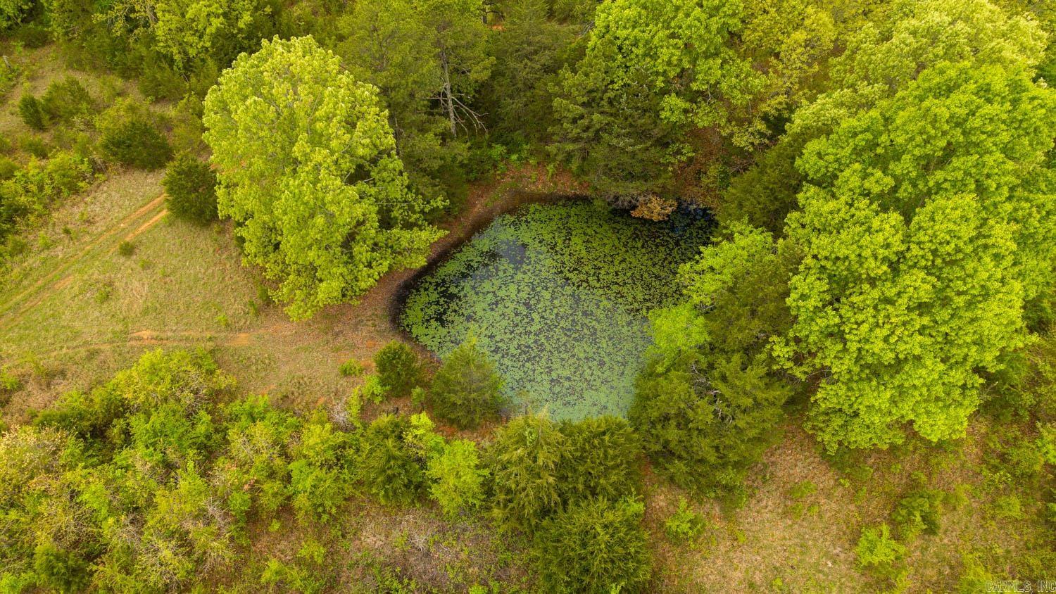 Photo 8 - Vacant Land for sale – 1141  Little Woods Road   Elizabeth, AR