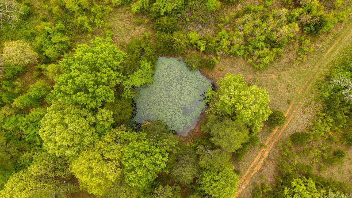 Photo 10 - Vacant Land for sale – 1141  Little Woods Road   Elizabeth, AR