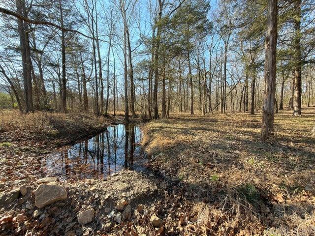 Photo 6 - Residential for sale – 1520  Mountain View Road   Locust Grove, AR