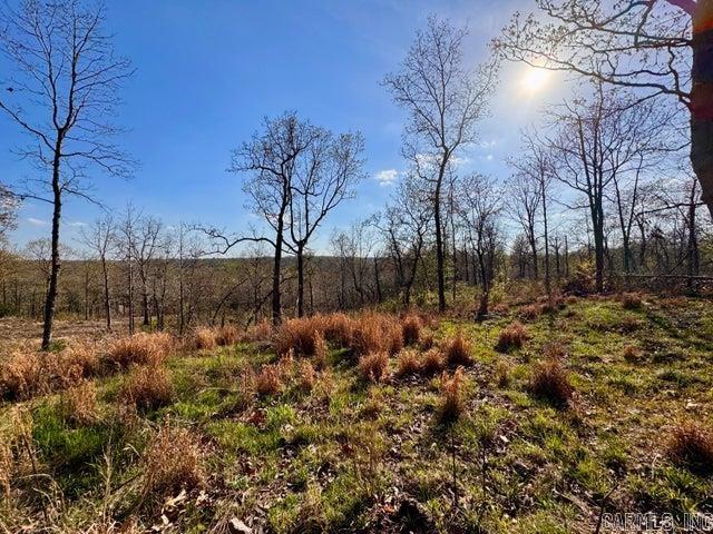 Vacant Land for sale –   Antioch   Cave City, AR