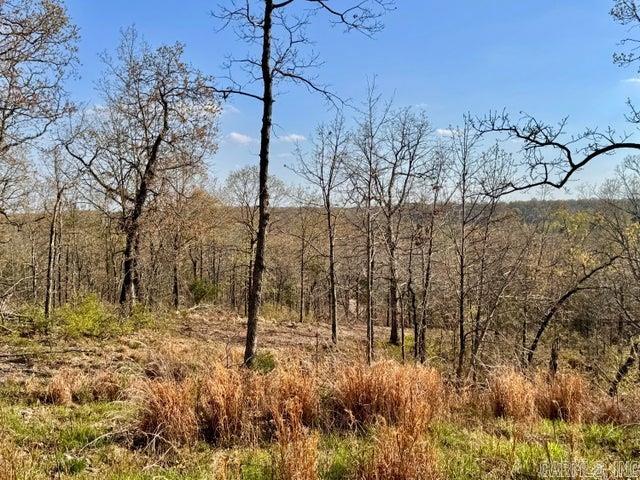 Photo 2 - Vacant Land for sale –   Antioch   Cave City, AR
