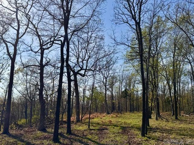Photo 11 - Vacant Land for sale –   Antioch   Cave City, AR