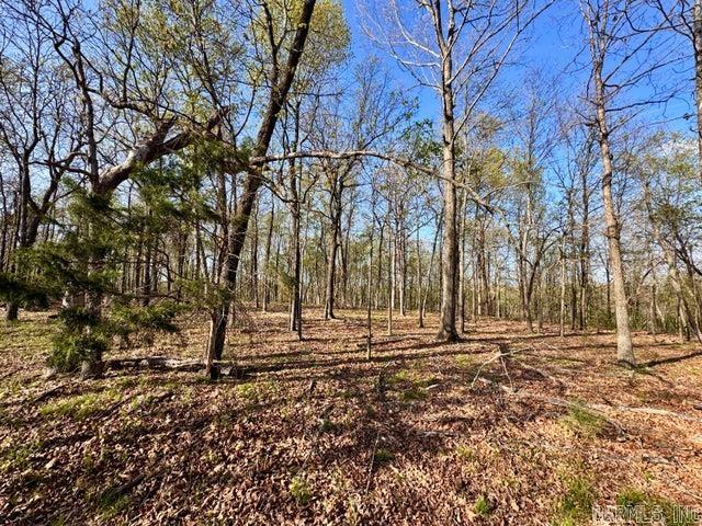 Photo 12 - Vacant Land for sale –   Antioch   Cave City, AR