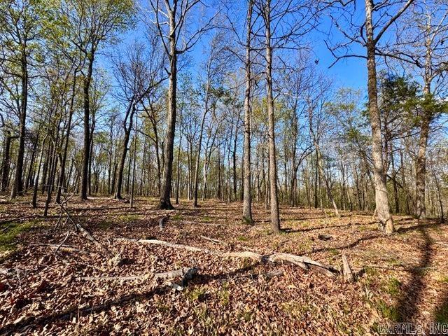 Photo 13 - Vacant Land for sale –   Antioch   Cave City, AR