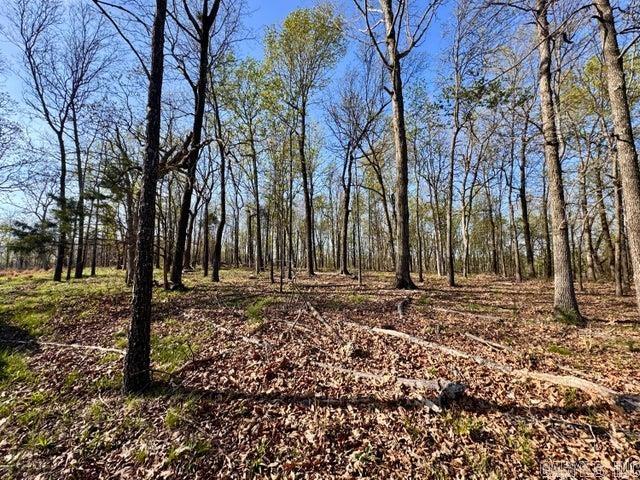 Photo 14 - Vacant Land for sale –   Antioch   Cave City, AR