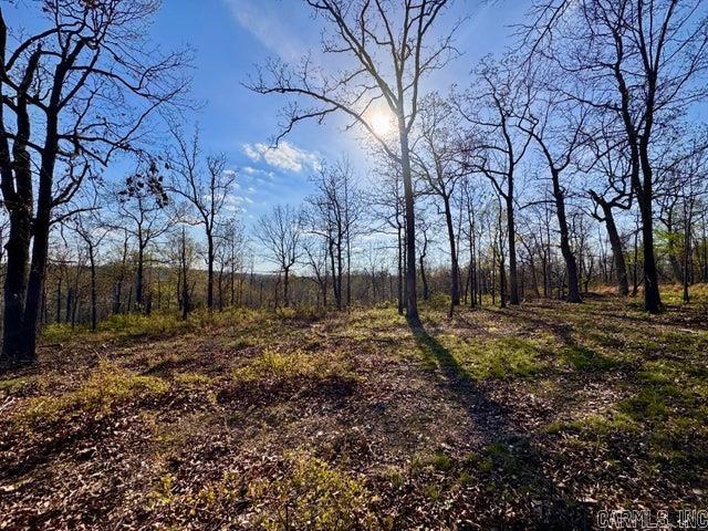 Photo 15 - Vacant Land for sale –   Antioch   Cave City, AR