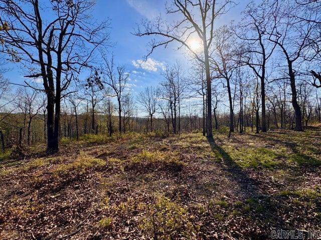 Photo 16 - Vacant Land for sale –   Antioch   Cave City, AR