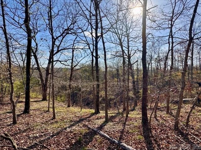 Photo 17 - Vacant Land for sale –   Antioch   Cave City, AR