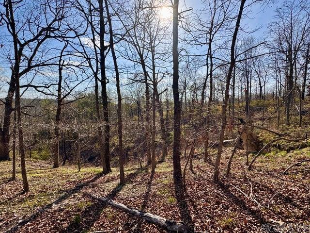 Photo 18 - Vacant Land for sale –   Antioch   Cave City, AR