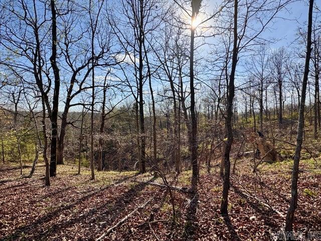 Photo 19 - Vacant Land for sale –   Antioch   Cave City, AR