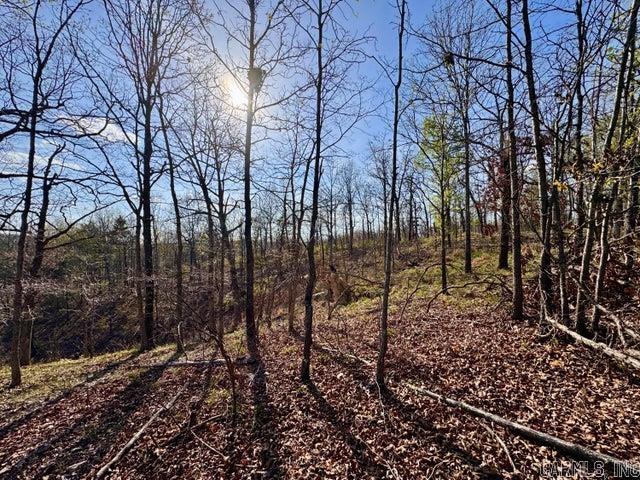 Photo 20 - Vacant Land for sale –   Antioch   Cave City, AR