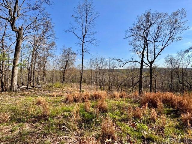 Photo 3 - Vacant Land for sale –   Antioch   Cave City, AR