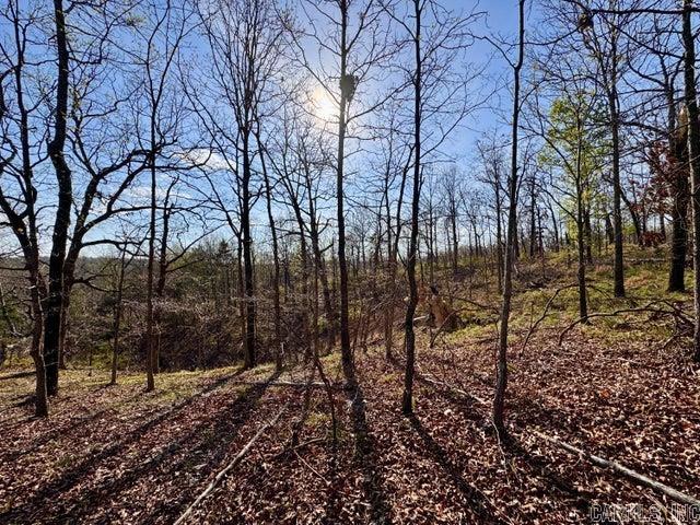Photo 21 - Vacant Land for sale –   Antioch   Cave City, AR