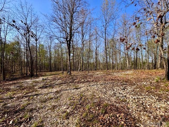 Photo 4 - Vacant Land for sale –   Antioch   Cave City, AR