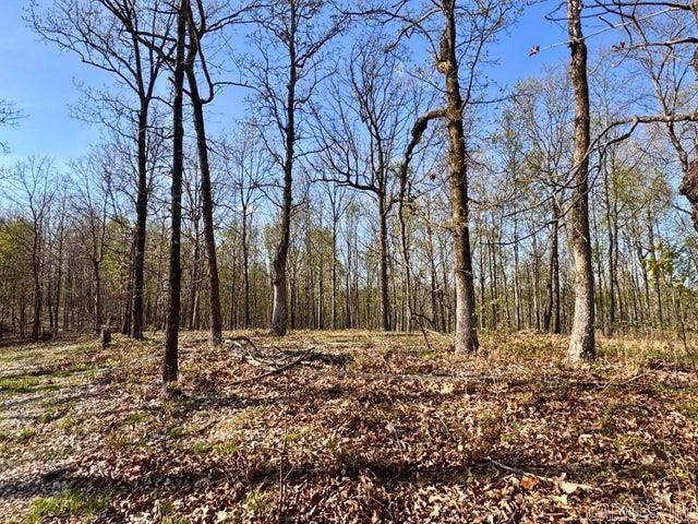 Photo 5 - Vacant Land for sale –   Antioch   Cave City, AR