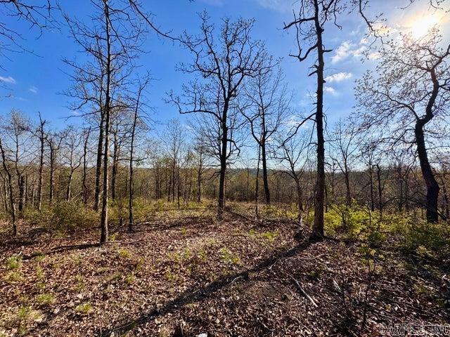 Photo 6 - Vacant Land for sale –   Antioch   Cave City, AR