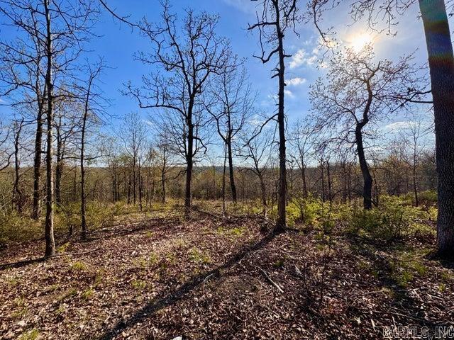 Photo 7 - Vacant Land for sale –   Antioch   Cave City, AR