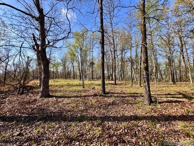 Photo 8 - Vacant Land for sale –   Antioch   Cave City, AR