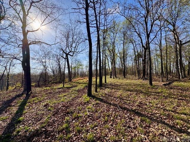 Photo 9 - Vacant Land for sale –   Antioch   Cave City, AR