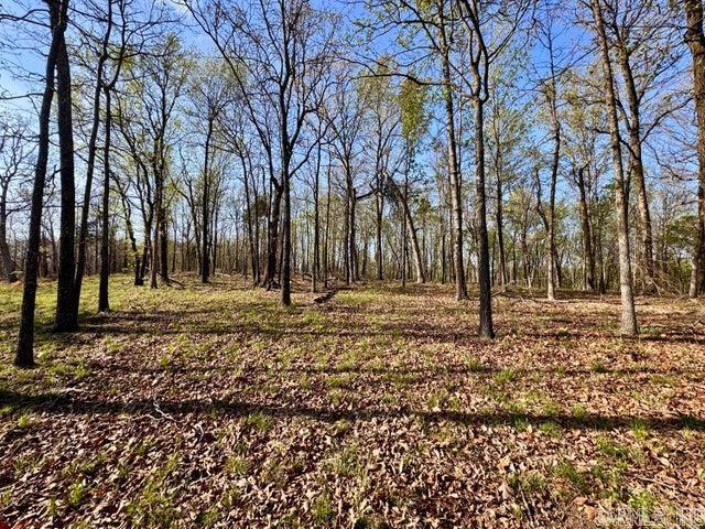 Photo 10 - Vacant Land for sale –   Antioch   Cave City, AR