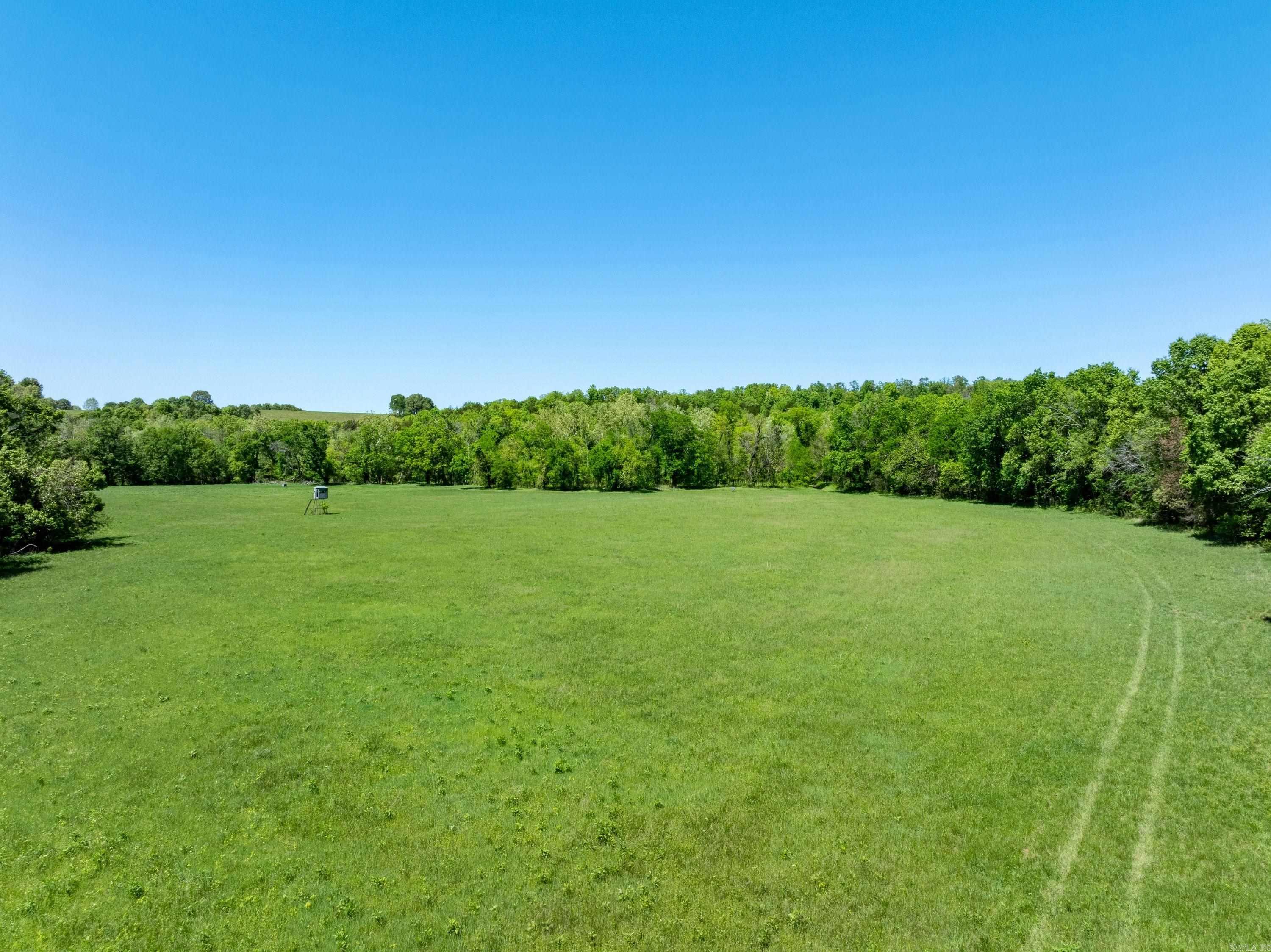 Photo 11 - Vacant Land for sale – 0 AR hwy  167   Evening Shade, AR