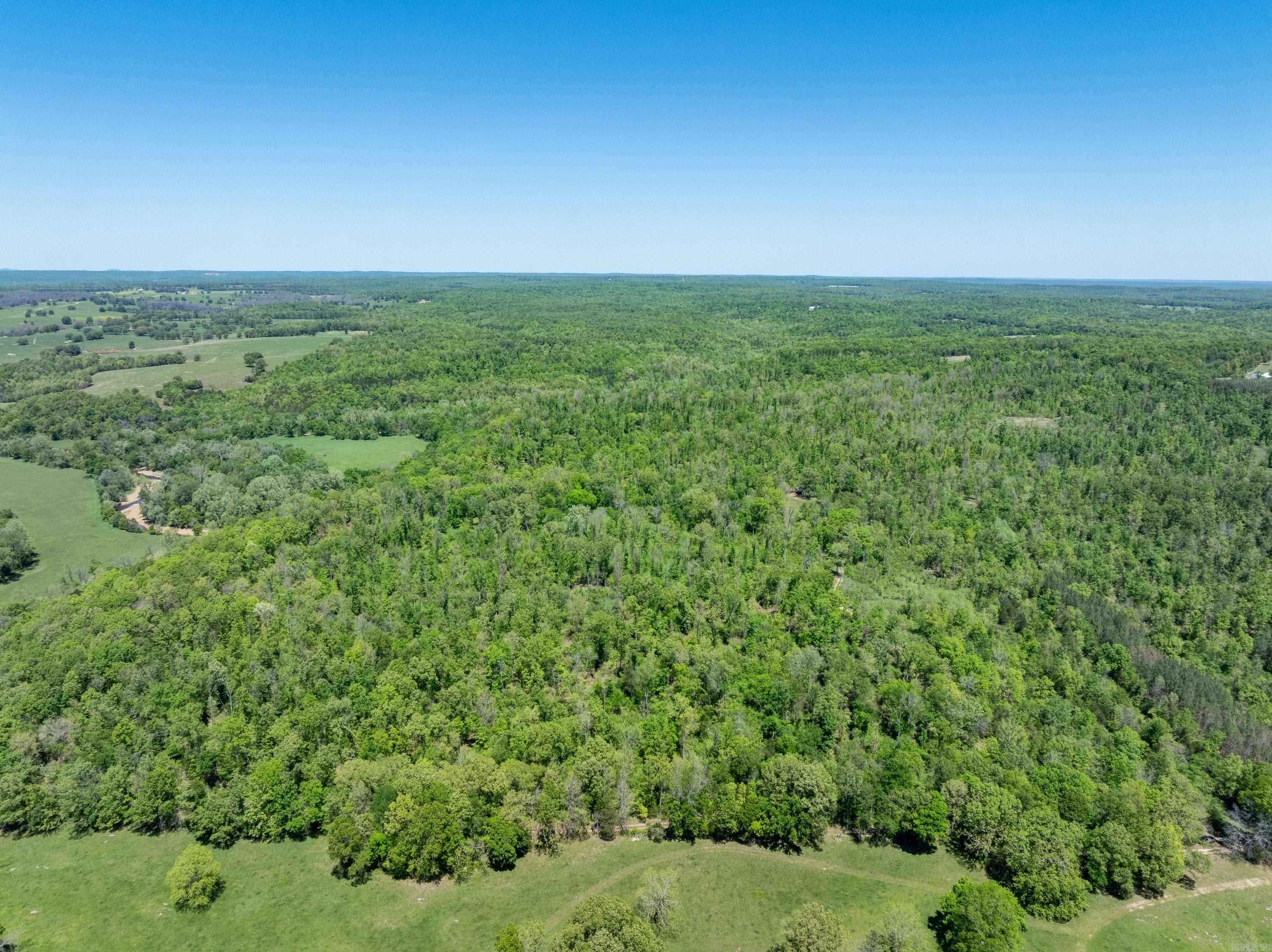 Photo 13 - Vacant Land for sale – 0 AR hwy  167   Evening Shade, AR