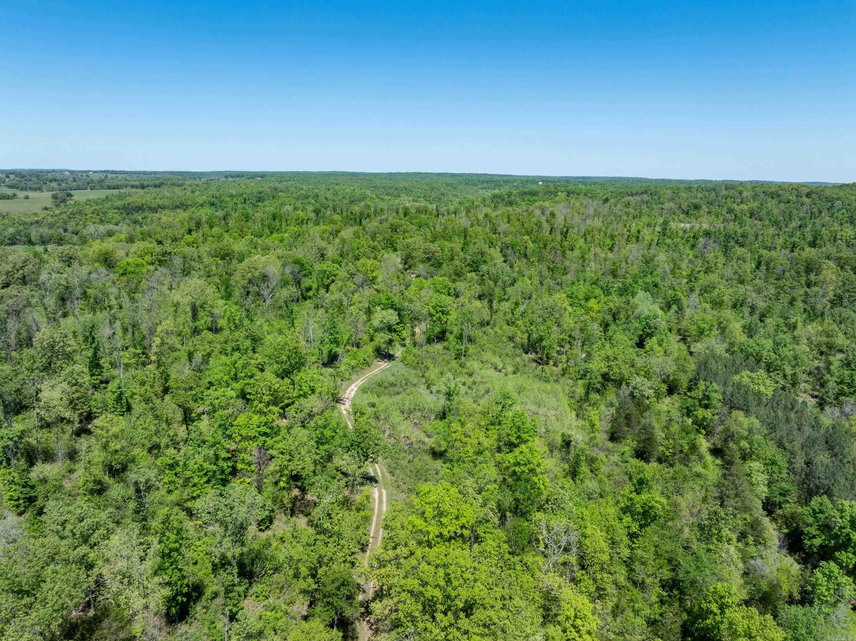 Photo 14 - Vacant Land for sale – 0 AR hwy  167   Evening Shade, AR