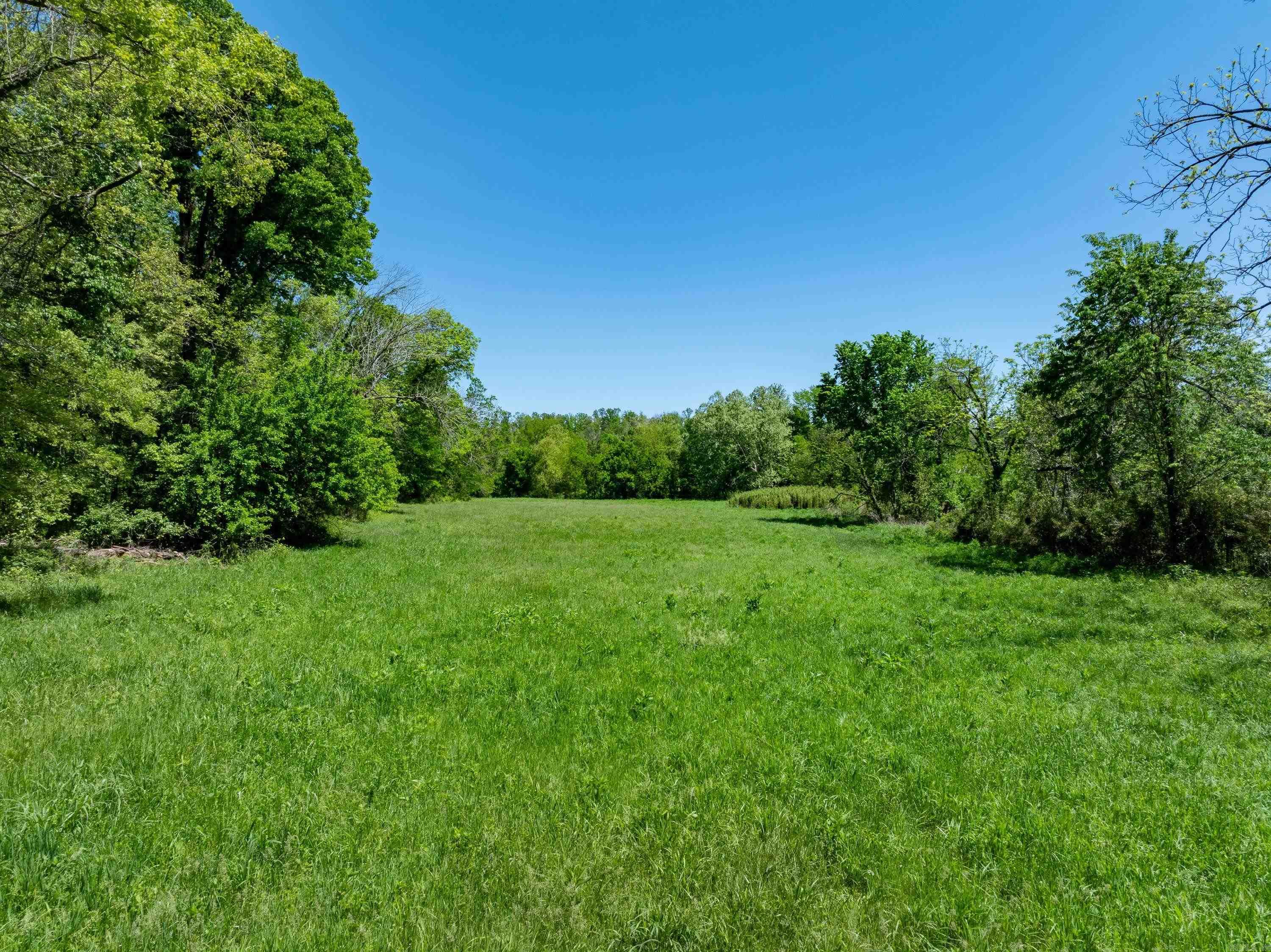 Photo 15 - Vacant Land for sale – 0 AR hwy  167   Evening Shade, AR