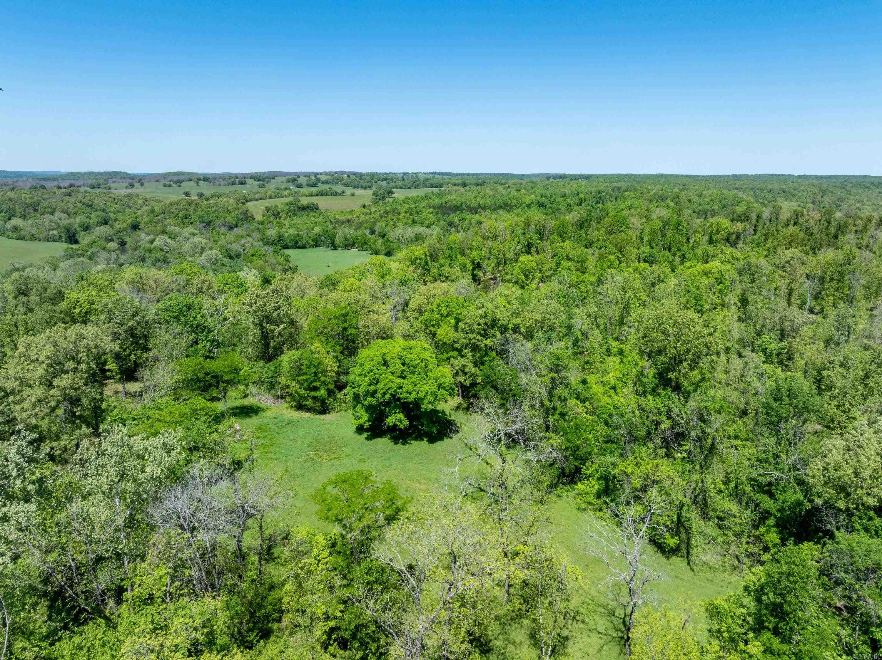 Photo 16 - Vacant Land for sale – 0 AR hwy  167   Evening Shade, AR