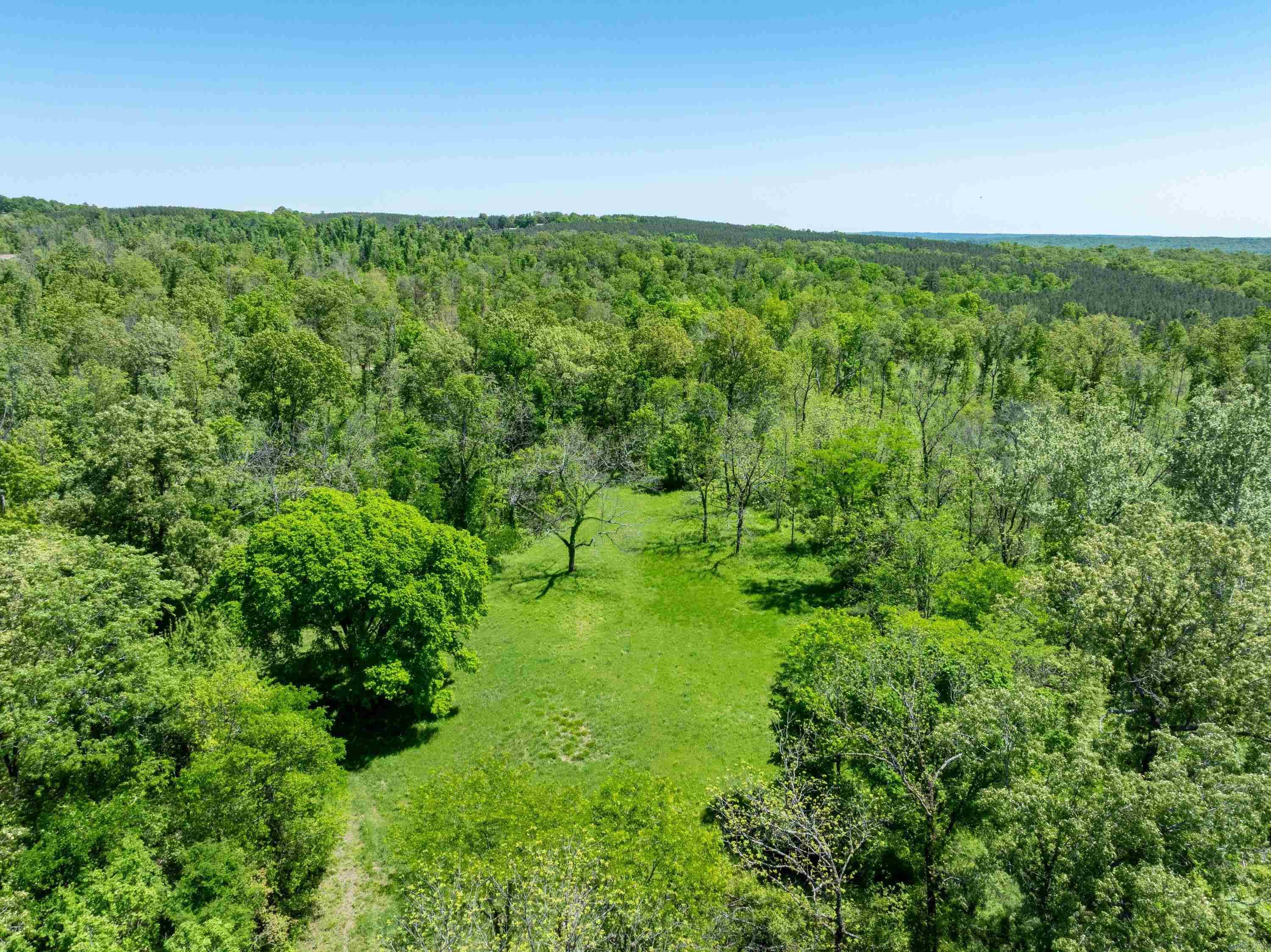 Photo 21 - Vacant Land for sale – 0 AR hwy  167   Evening Shade, AR