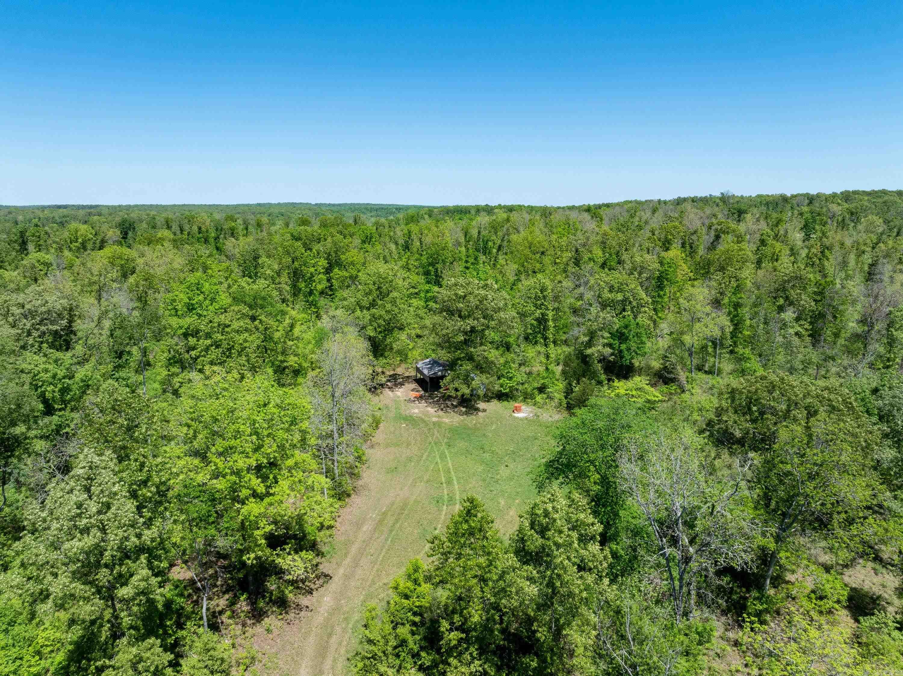 Photo 22 - Vacant Land for sale – 0 AR hwy  167   Evening Shade, AR