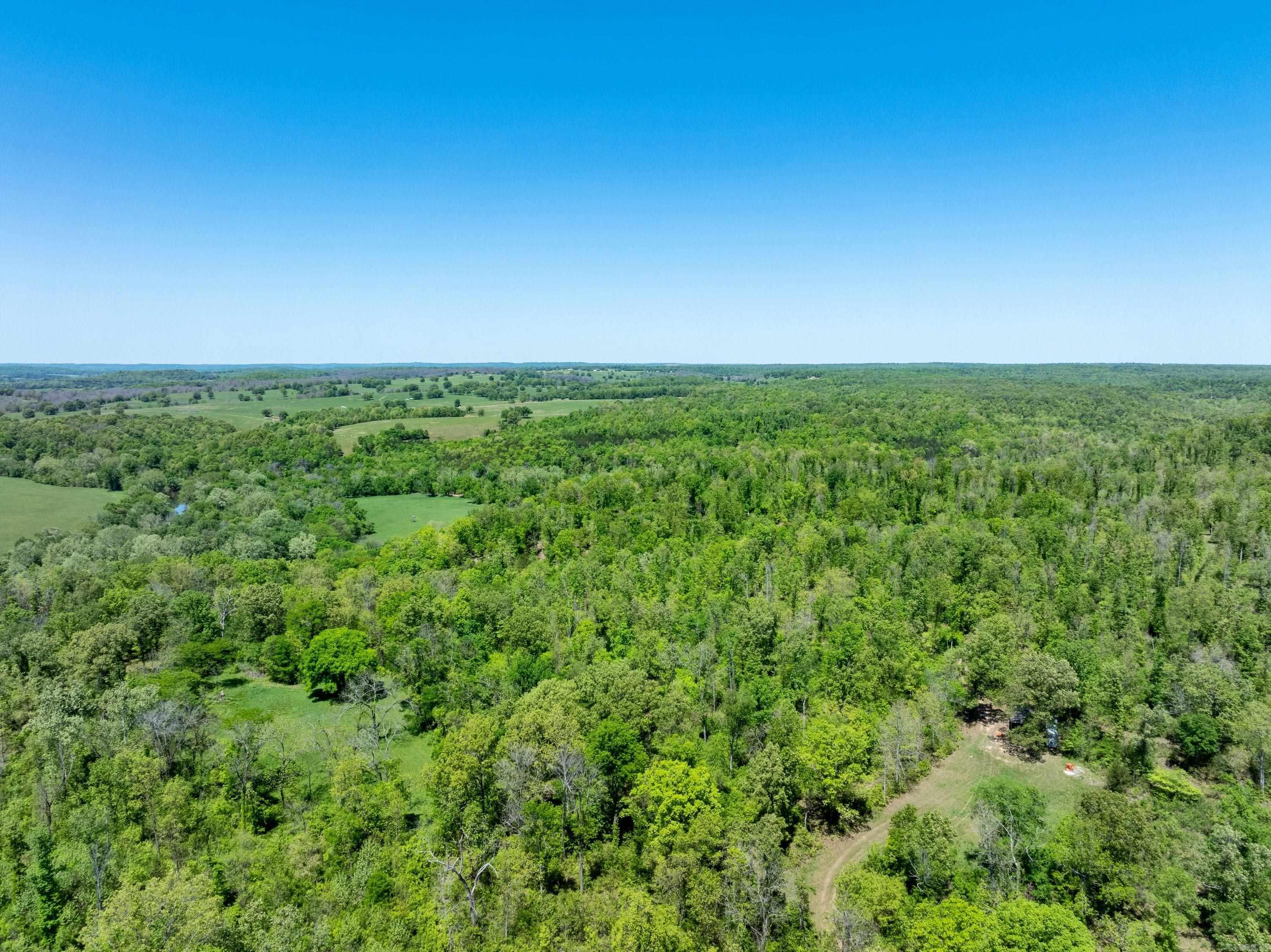 Photo 25 - Vacant Land for sale – 0 AR hwy  167   Evening Shade, AR