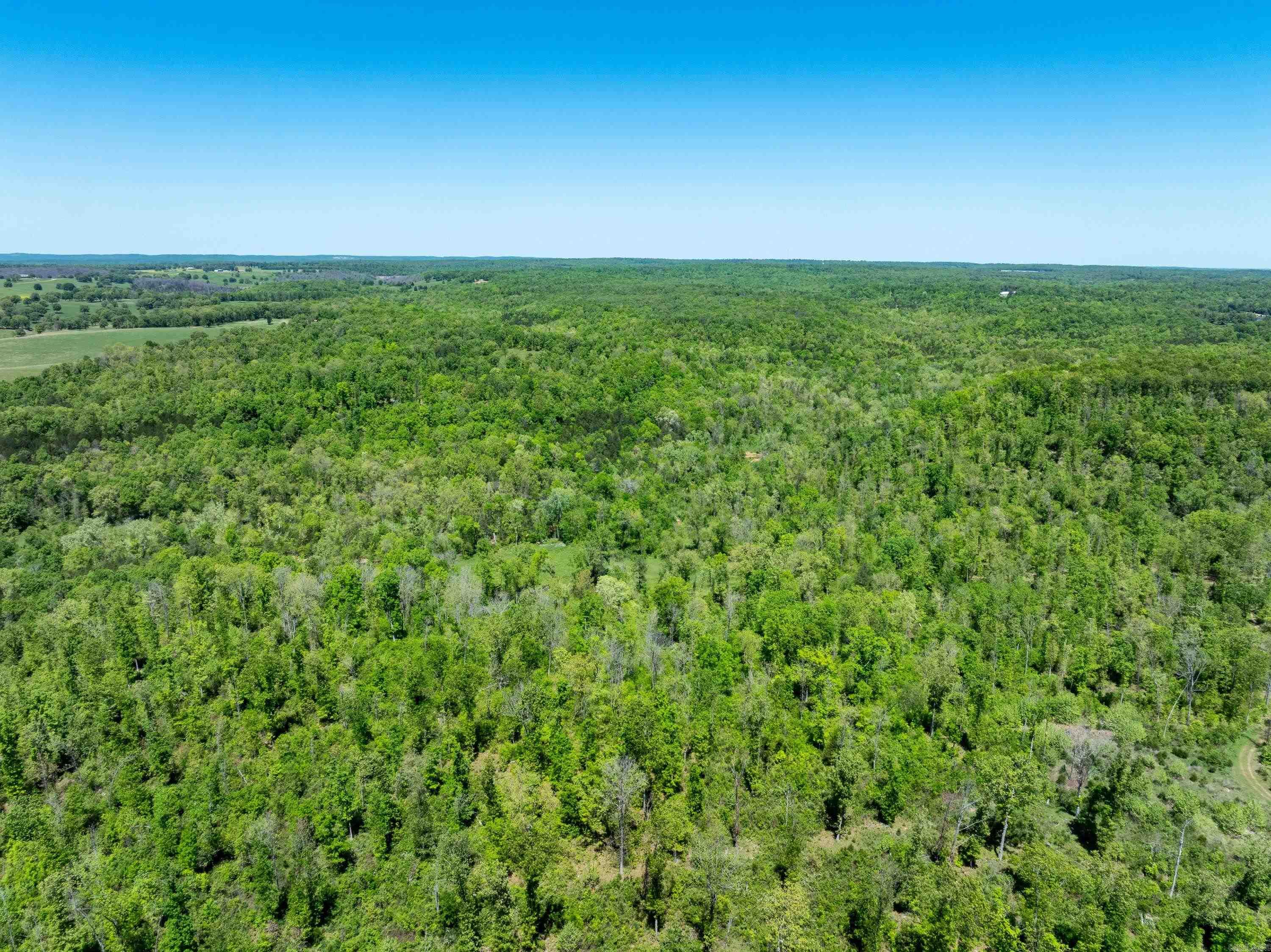 Photo 26 - Vacant Land for sale – 0 AR hwy  167   Evening Shade, AR