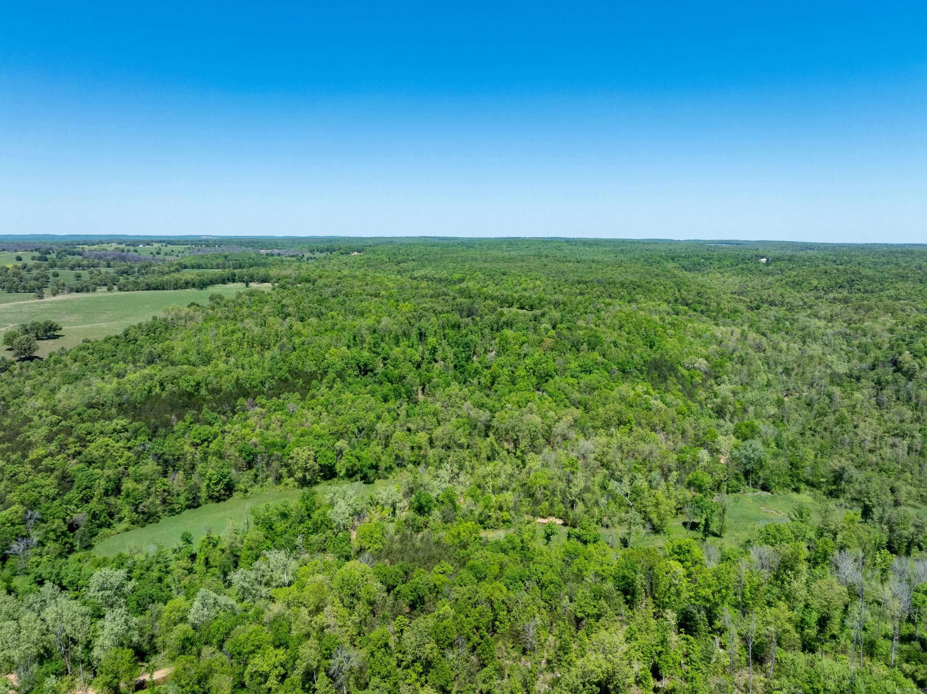 Photo 27 - Vacant Land for sale – 0 AR hwy  167   Evening Shade, AR