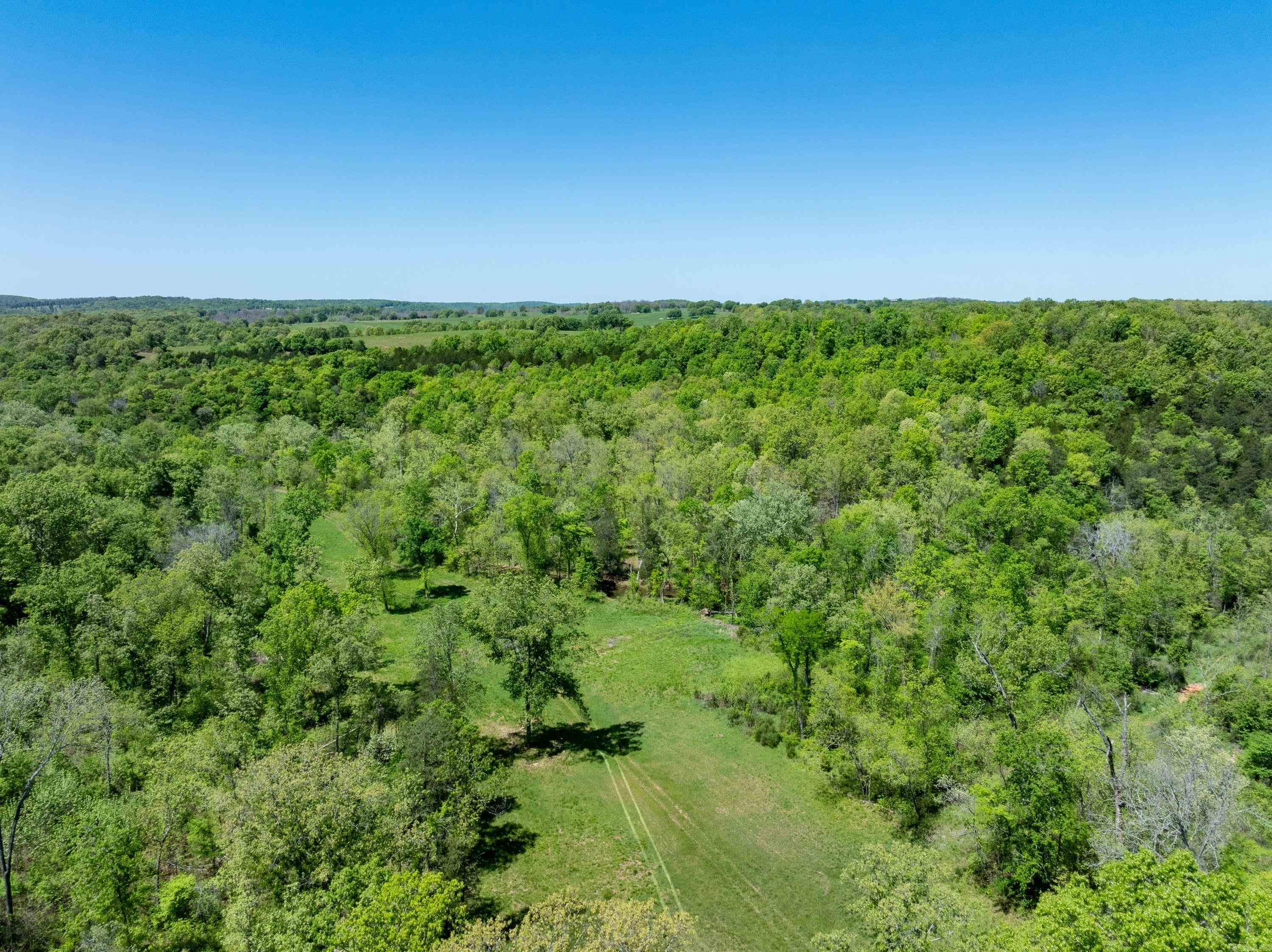 Photo 28 - Vacant Land for sale – 0 AR hwy  167   Evening Shade, AR