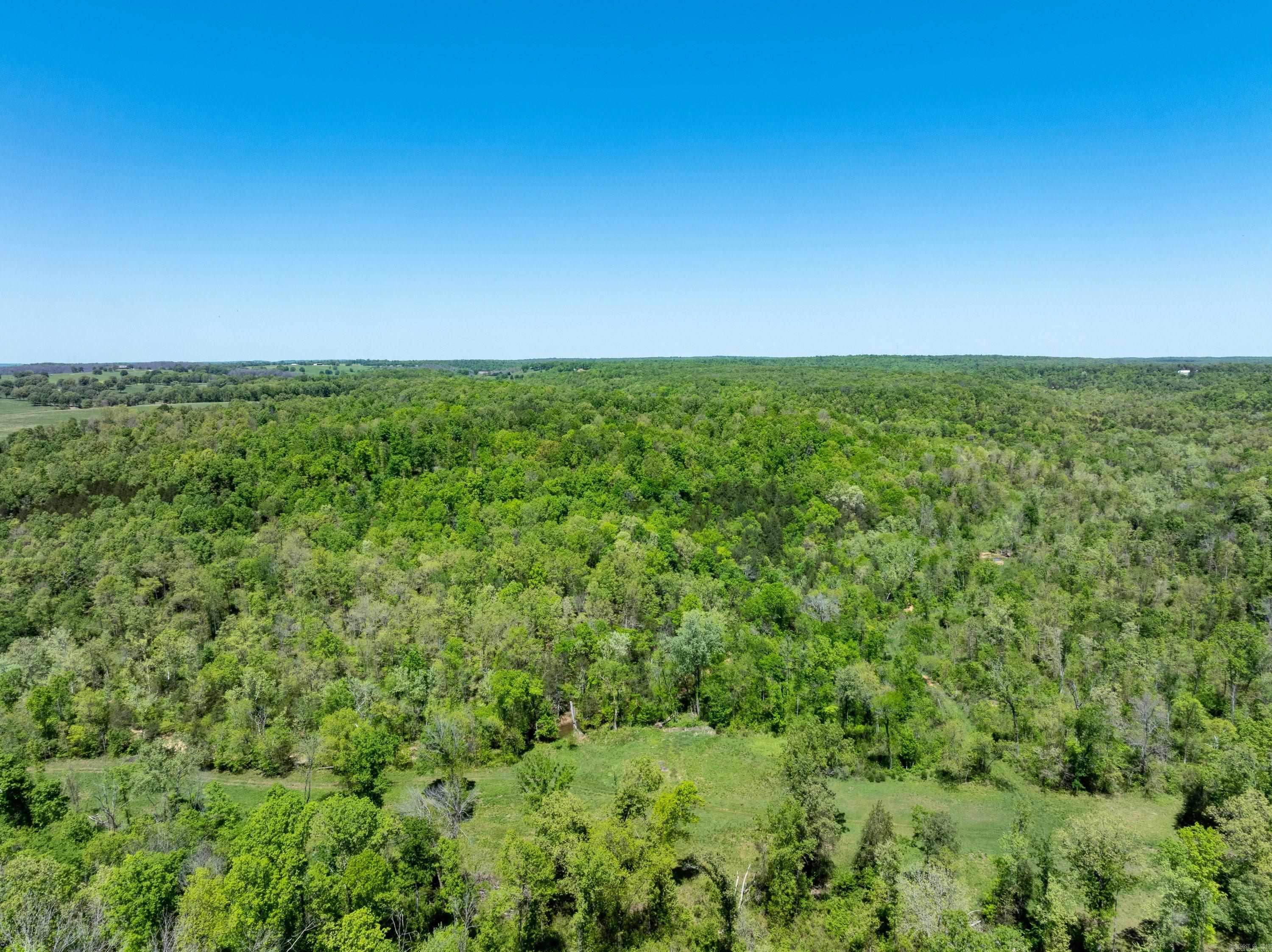 Photo 29 - Vacant Land for sale – 0 AR hwy  167   Evening Shade, AR